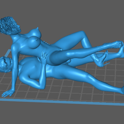 2023-05-18-15-50-46.png STL file JL 71 Couple having Anal Sex・3D printer model to download