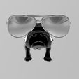 pitbull-3.jpg PITBULL MAJORDOME DOG SUPPORT glasses frame HOLDER glasses