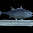 Tuna-model-7.png fish tuna bluefin / Thunnus thynnus statue detailed texture for 3d printing