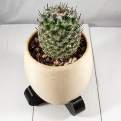 modern_dessert_planter1.jpg STL-Datei Modern Desert Planter kostenlos・Design zum 3D-Drucken zum herunterladen