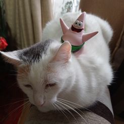 Patrick Christmas Star