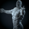 Untitled_Viewport_001.png Anatomia Humana Musculacion - Muscle Anatomy human adapted Print