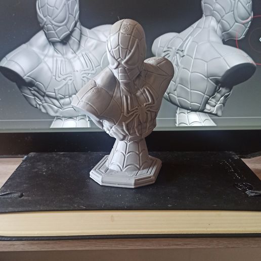 IMG_20230113_115152.jpg Homem-Aranha