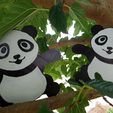 20170731_161609.jpg PANDA