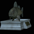 Zander-statue-8.png fish zander / pikeperch / Sander lucioperca statue detailed texture for 3d printing