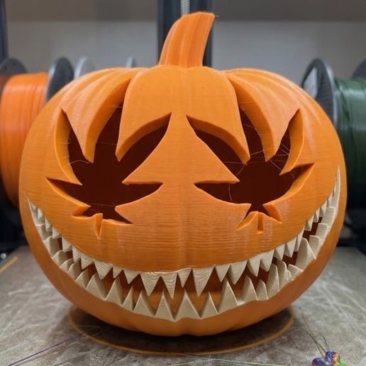Pumpkin bundle