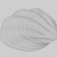 image-9.png Fan Shape Shell