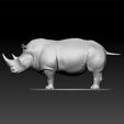 ZBrush-Dodfst.jpg Rhinoceros