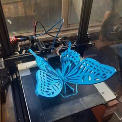 a Télécharger fichier STL gratuit Papillon • Modèle pour imprimante 3D, garyholloway59