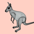 8.png Kangaroo 🦘🌿