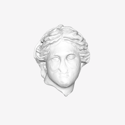 Capture d’écran 2018-09-20 à 18.05.10.png Free STL file Veiled Head of a Woman at The Louvre, Paris・3D printable model to download