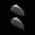Catfish-Europe-20.png FISH WELS CATFISH / SILURUS GLANIS solo model detailed texture for 3d printing