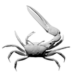 Capture d’écran 2018-09-13 à 17.27.07.png Free OBJ file Fiddler Crab・Template to download and 3D print, ThreeDScans
