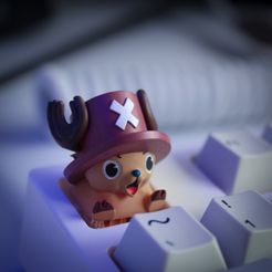 IMG_2814.jpg STL file Tony Chopper (one piece) Keycap・Design to download and 3D print