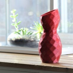 IMG_2374_edit.jpg Free STL file Venus Vase・3D print model to download