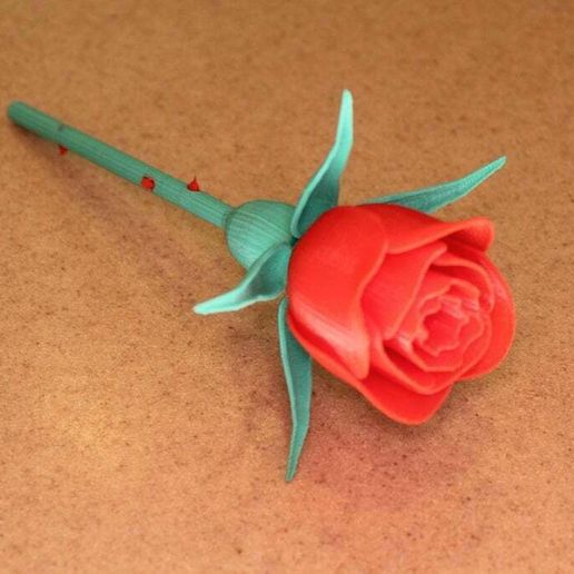 Rose with Stem & Thorns & Sepals & Hip for Valentine's Day 3D model