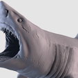 06.png White Shark Statue