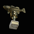 peacock-bass-trophy-3-1-2-12.png Peacock bass (Cichla ocellaris) fish trophy cup 2 for 3d printing