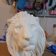 Lion_01.jpg Recumbent Lion Bust with flush back for Walls