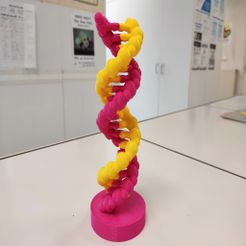 IMG_20191204_125341.jpg DNA molecule - Molécule d'ADN