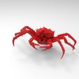 King-crab-3.jpg King crab