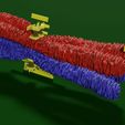 0011.jpg Chromosome homologous centromere kinetochore blender 3d model