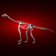 Atlasaurus-skeleton-render-2.png Atlasaurus