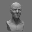 Cam_003.jpg Stylized Anatomy Face 3D print model