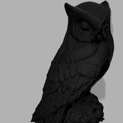 Capture-d'écran-2023-11-16-234447.png owl