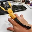 210524610_10159212752918905_6338754544991100822_n.jpg Free STL file articulated finger scorpion・Template to download and 3D print
