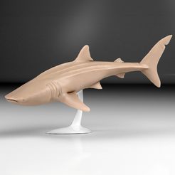 wahleshark-render-copy.jpg Archivo OBJ Tiburón ballena preciso y detallado・Objeto para impresora 3D para descargar