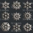 P529alla.jpg Flowers P529