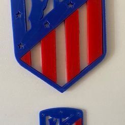 IMG_1076.jpg shield atletico de Madrid