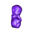 baby.stl Anatomy Model of Pregnancy Pelvis