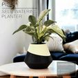 PISA_Planter_Front_white-table.jpg PISA  |  Self-Watering Planter