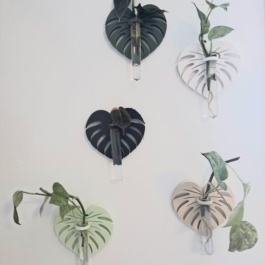 monstera station propagation
