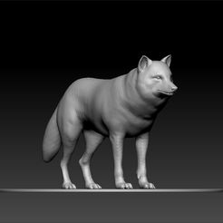 wolf.jpg Loup