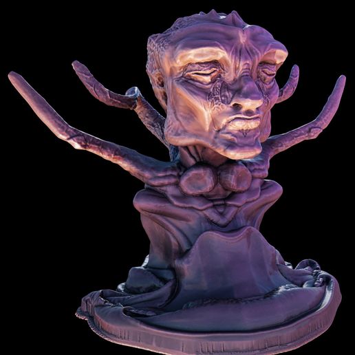 Perriorann Bust 3D model preview