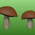 Marrones-color.jpg Mushroom variety