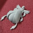 SCARAB01.jpg scarab beetle necklace pendent 3d print