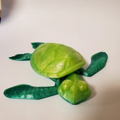 Cute Flexi Print-in-Place Turtle