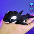 img_KillerWhale_004.jpg KILLER WHALE ( ORCA - FLEXI - ARTICULATED FIGURE, PRINT-IN-PLACE, CUTE)