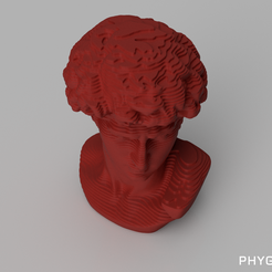 DAVID_01.png Parametric Head of David Digital File Package for 3D Printing/CNC/Laser