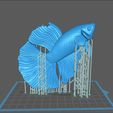 z4171493528910_232d6c436bc116a71e7114b91b367f16.jpg Betta fish - Ready for 3D print