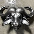 S__22847532.jpg Fichier STL Tête de buffle africain・Modèle pour impression 3D à télécharger
