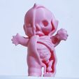 20240930_111742.jpg Kewpie Anatomy - mascotte japonaise mayo zombie