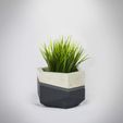 Macetero 1 insta.jpg Concrete Planters Mold