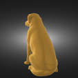 Без-названия-render-2.png DOG