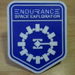 DSC02040_display_large.JPG Бесплатный STL файл Interstellar Endurance badge・3D-печатная модель для скачивания, Werthrante