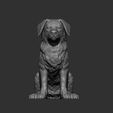miniature-australian-shepherd7.jpg Miniature australian shepherd 3D print model